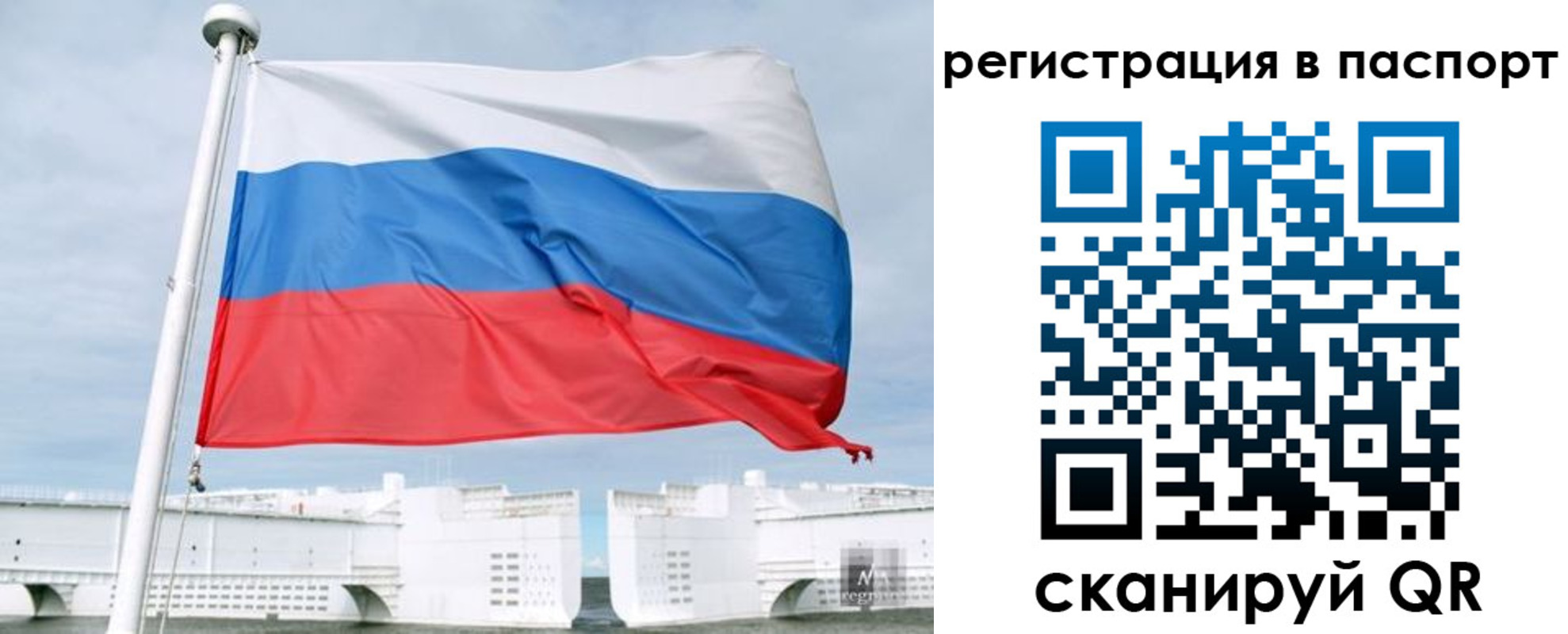 регистрация в Кировске